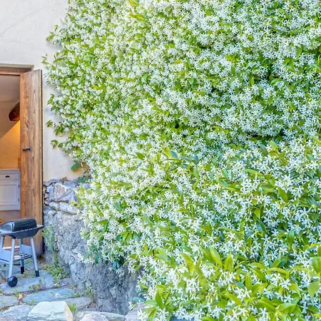 Casa Vince Сasa de vacaciones Furiani