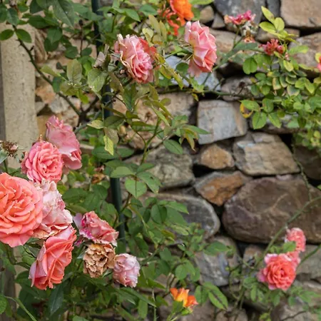 Casa Vince Сasa de vacaciones Furiani