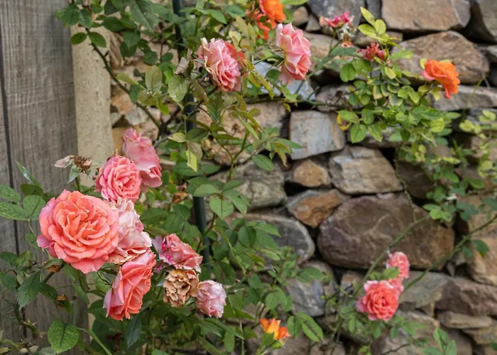 Casa Vince Prázdninový dům Furiani